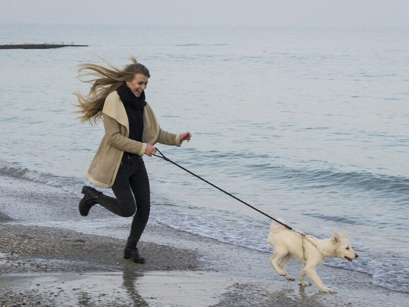 Bliv mere aktiv og sund med en hund