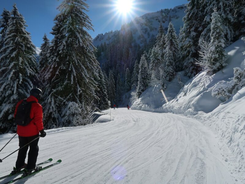 Skiferie i Schweiz: En sammenligning mellem Davos og Engelberg